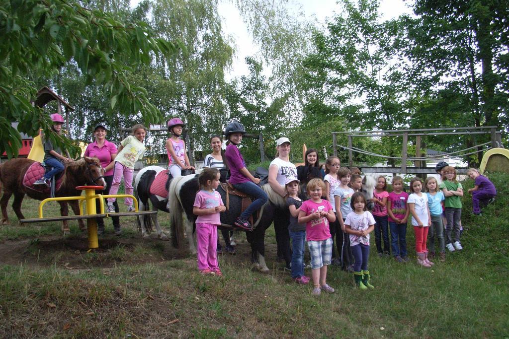 Pension & Reitstall Inghofer Heidenreichstein Esterno foto